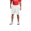 Men's Champion Graphic Mesh Shorts White -Champion Sales unnamed file 1034