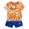 Toddler Boys' Champion Crush Dye Script T-Shirt And Shorts Set