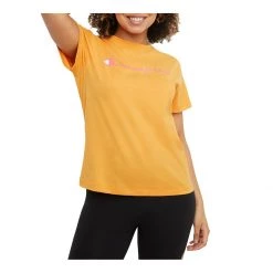 Women's Champion Classic Graphic T-Shirt Country Walnut 18 Women's Champion Classic Graphic T-Shirt Country Walnut -Champion Sales unnamed file 124