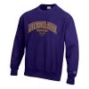 Champion Minnesota State Mavericks Reverse 22 Crewneck Sweatshirt Purple 1 Champion Minnesota State Mavericks Reverse 22 Crewneck Sweatshirt Purple -Champion Sales unnamed file 1302