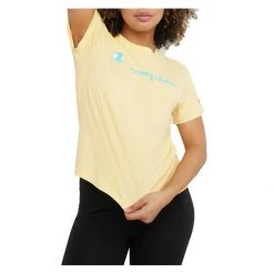 Women's Champion Classic Graphic T-Shirt Country Walnut 25 Women's Champion Classic Graphic T-Shirt Country Walnut -Champion Sales unnamed file 131