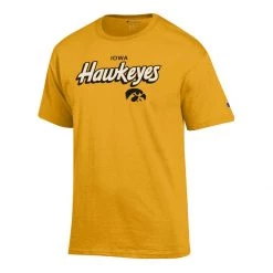 Champion Iowa Hawkeyes Fresh 3 T-Shirt 2 Black 10 Champion Iowa Hawkeyes Fresh 3 T-Shirt 2 Black -Champion Sales unnamed file 1629
