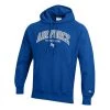 Champion Air Force Academy Reverse 22 Hoodie Royal -Champion Sales unnamed file 1761
