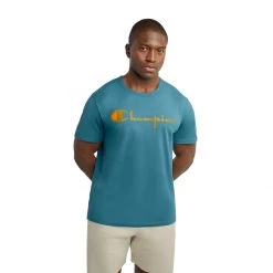 Men's Champion Vintage Graphic Lightweight T-Shirt Green Native Fern -Champion Sales unnamed file 230