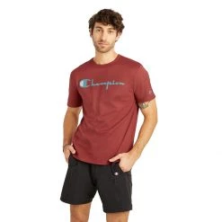 Men's Champion Vintage Graphic Lightweight T-Shirt Green Native Fern -Champion Sales unnamed file 233