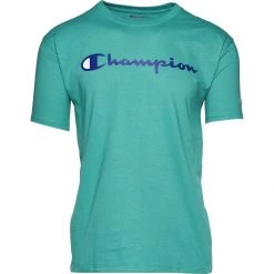 Men's Champion Classic Graphic T-Shirt Surf The Web