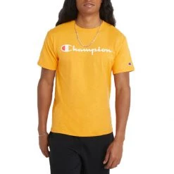 Men's Champion Classic Graphic T-Shirt Surf The Web -Champion Sales unnamed file 29