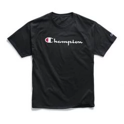 Men's Champion Classic Graphic T-Shirt Surf The Web -Champion Sales unnamed file 30