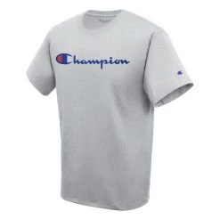 Men's Champion Classic Graphic T-Shirt Surf The Web -Champion Sales unnamed file 33