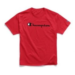 Men's Champion Classic Graphic T-Shirt Surf The Web -Champion Sales unnamed file 35