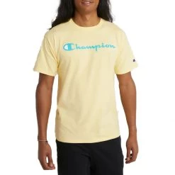 Men's Champion Classic Graphic T-Shirt Surf The Web -Champion Sales unnamed file 36