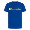 Champion/Beluga Boys' Champion Classic Script T-Shirt Green Reef